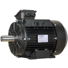 Busck AC motor T3A132SA-2B3, 5.5kW, 2930RPM, 400/690V, 50Hz, aluminium